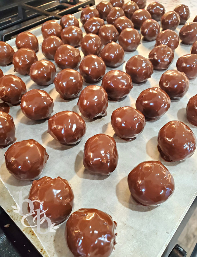 Mud Balls