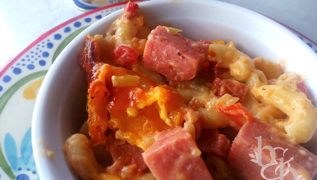 Meat Macaroni Supper