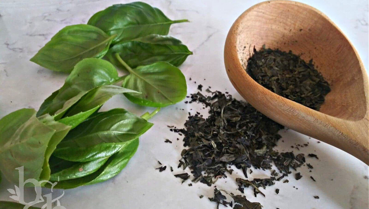 Drying Fresh Basil
