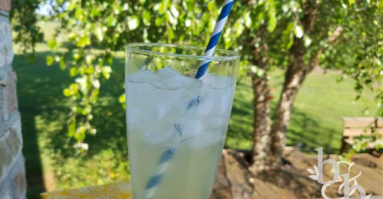 Fresh Lemonade Syrup