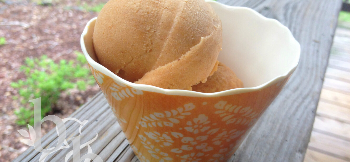 Peach Cider Sorbet