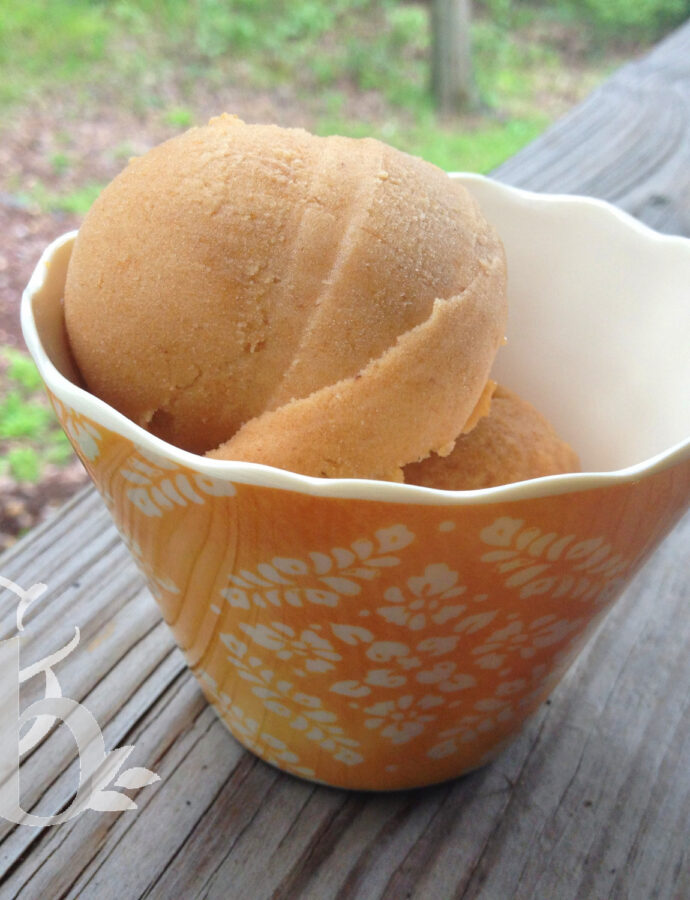 Peach Cider Sorbet
